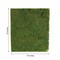 18" x 16" Green Natural Preserved Moss Sheet Party Wedding Crafts Decorations
